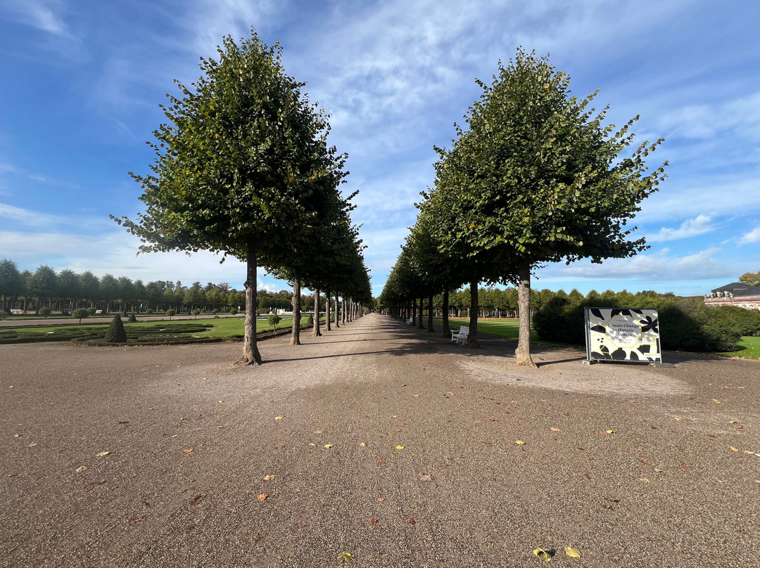 Schwetzingen Palace-施韦青根必去景点