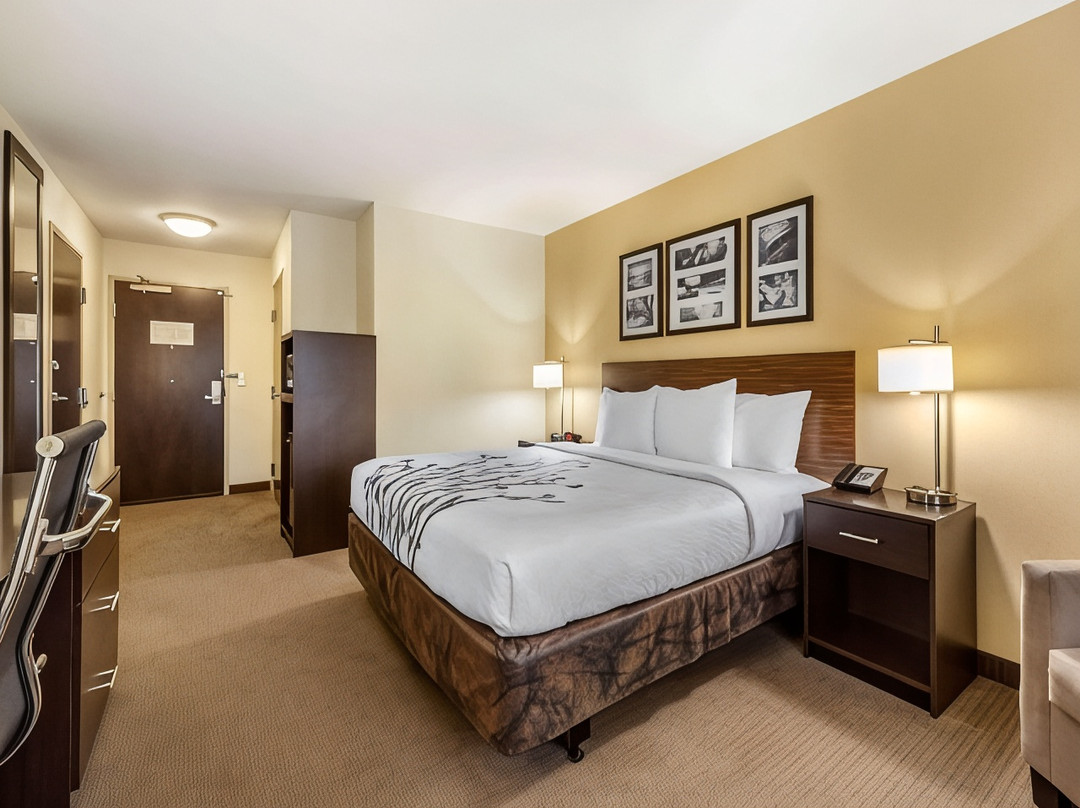 北达科塔酒店住宿-Sleep Inn & Suites Alerus Center