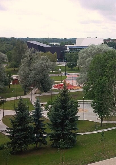 Festival Park