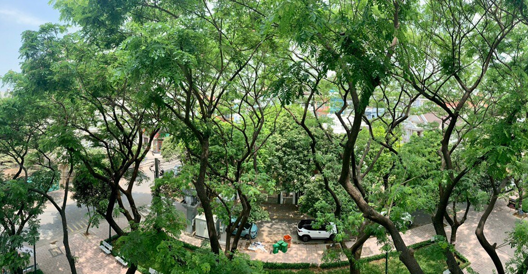 Mansion Park Hotel & Apartment主图