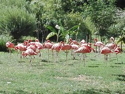 Jardin de la Ménagerie-索城必去景点