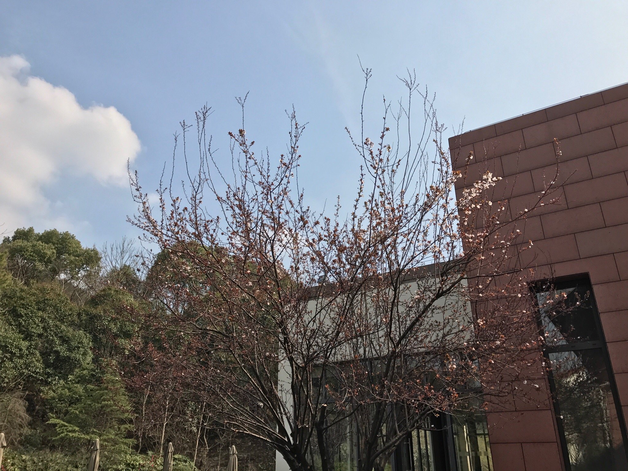 深业半汤御泉庄温泉度假酒店-官方