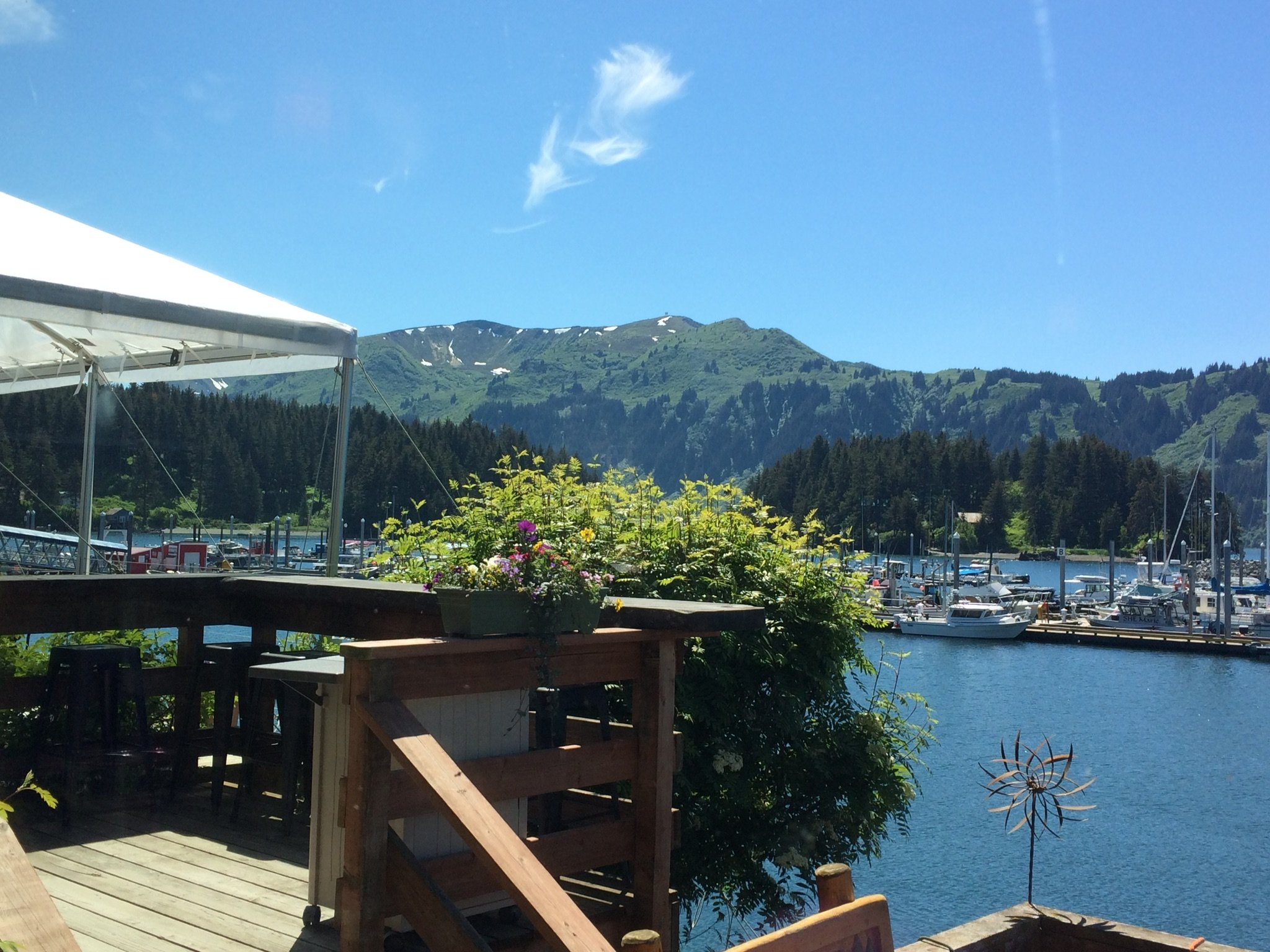 Seldovia Boardwalk Hotel-官方