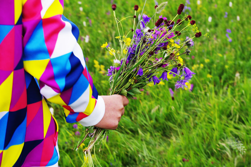 克什克腾旗旅游景点-黄岗梁国家森林公园