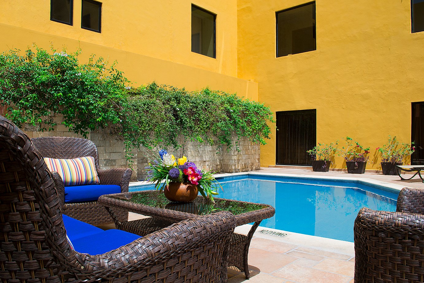Hotel Plaza Colonial-官方