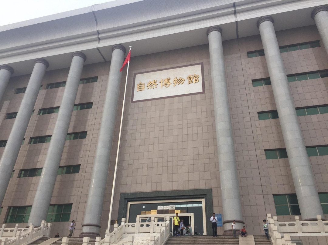 临沂天宇自然博物馆-平邑县必去景点