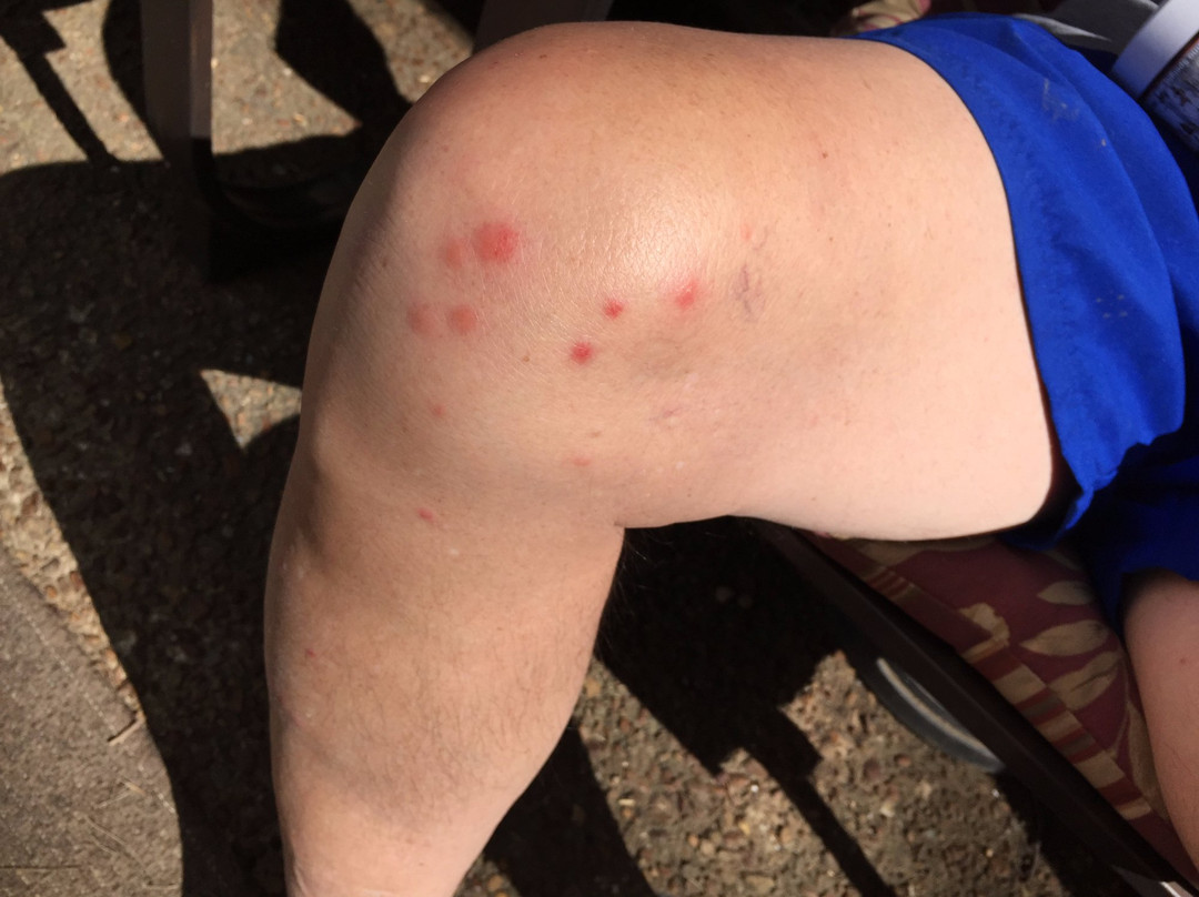 格兰德拉匹兹豪生广场酒店