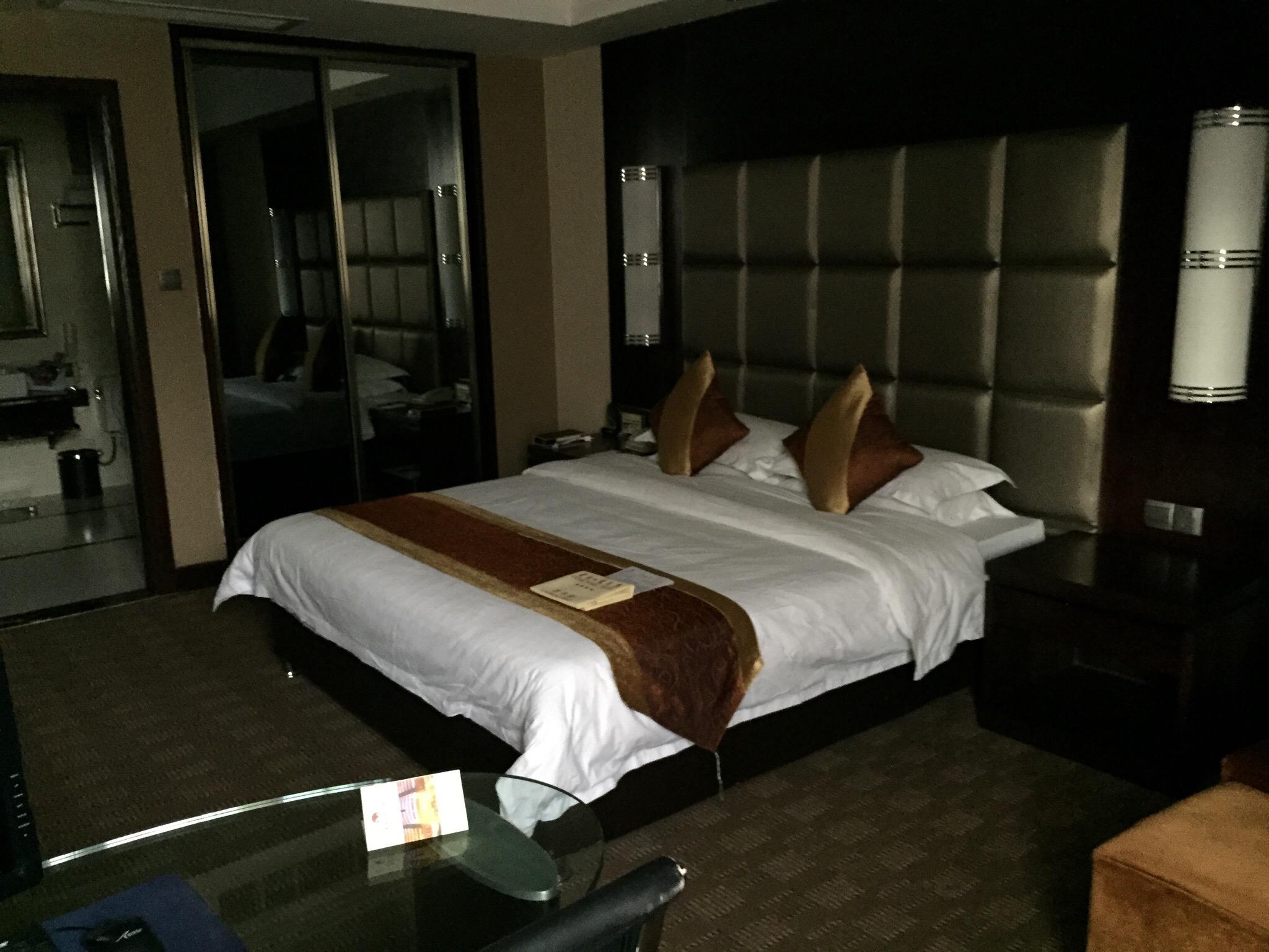 瓷国明珠酒店-客卧