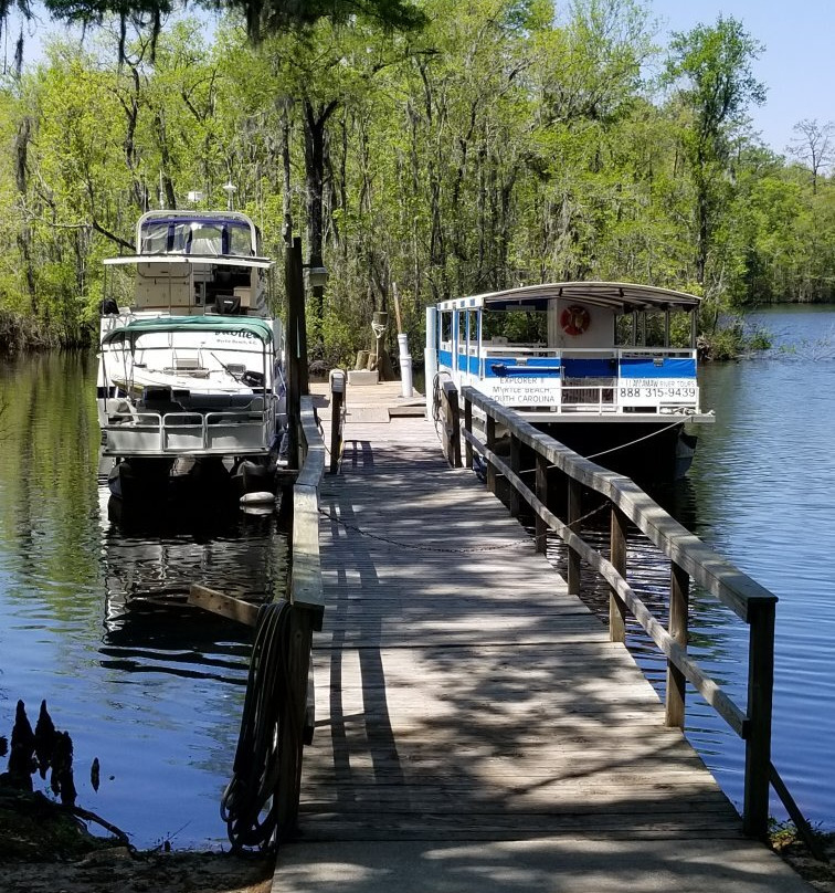 Waccamaw River Tours景点图片