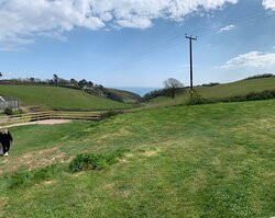 Surfing Cow Gelato-Battisborough Cross必去景点