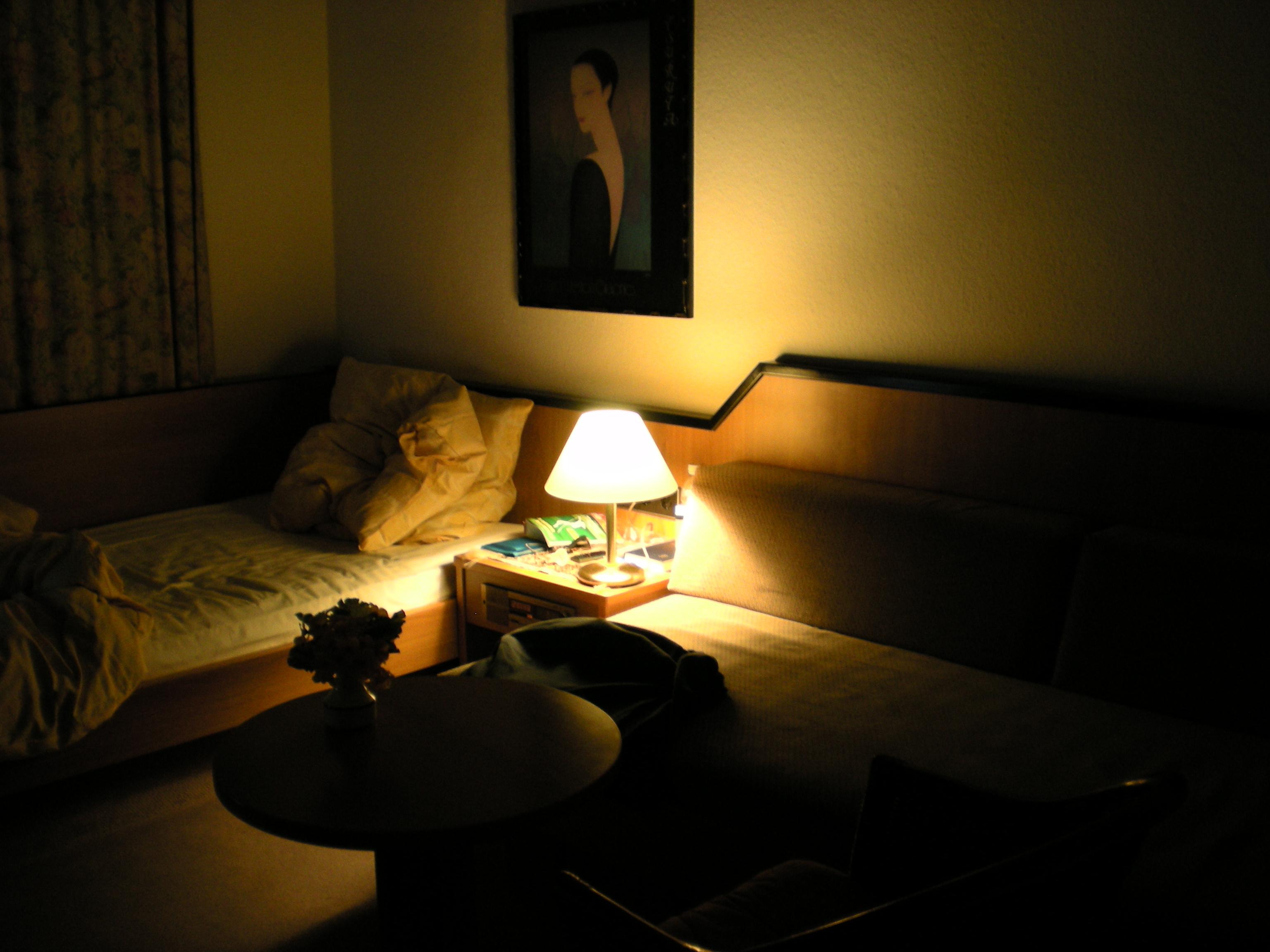 Schellings Centralhotel Garni-客卧