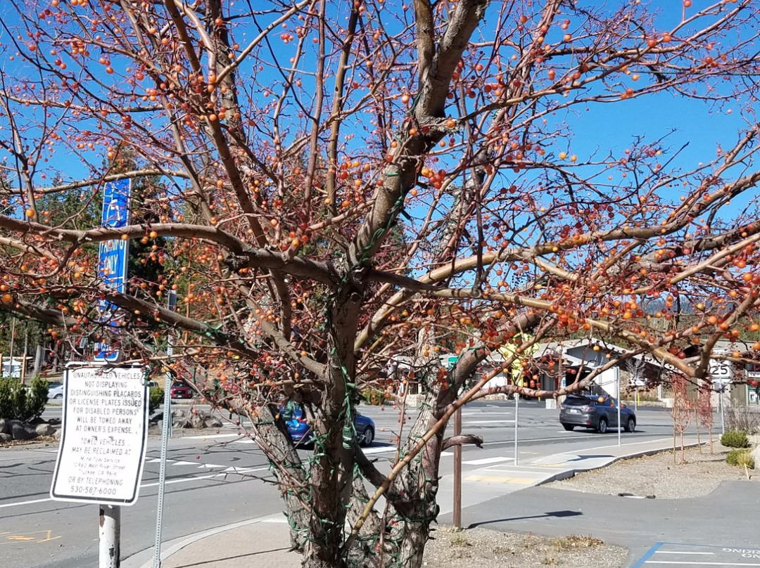 North Lake Tahoe Visitor Center