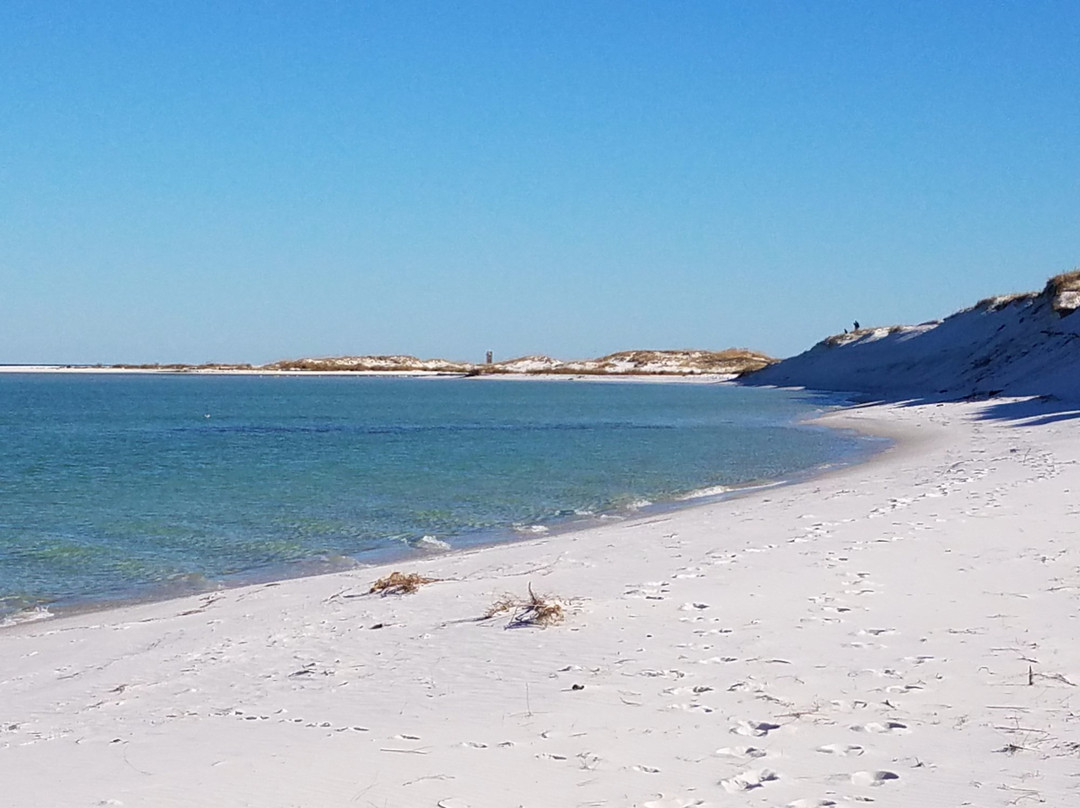 Pensacola Beach Sailing Tours景点图片