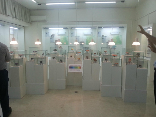 Zografou旅游景点-Museum of Mineralogy and Petrology
