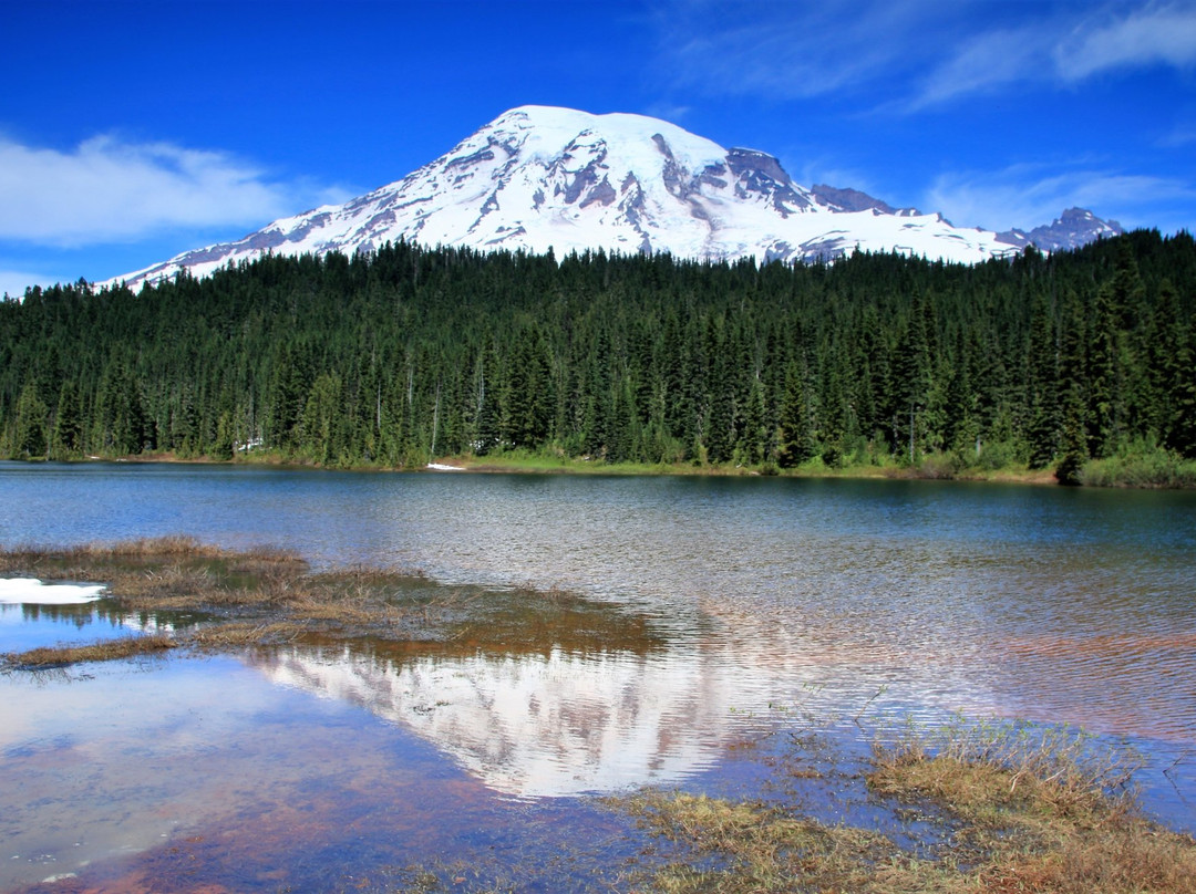 Reflection Lakes景点图片