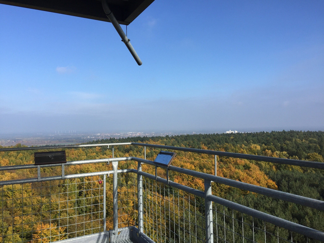 Steinhoefel旅游攻略图片