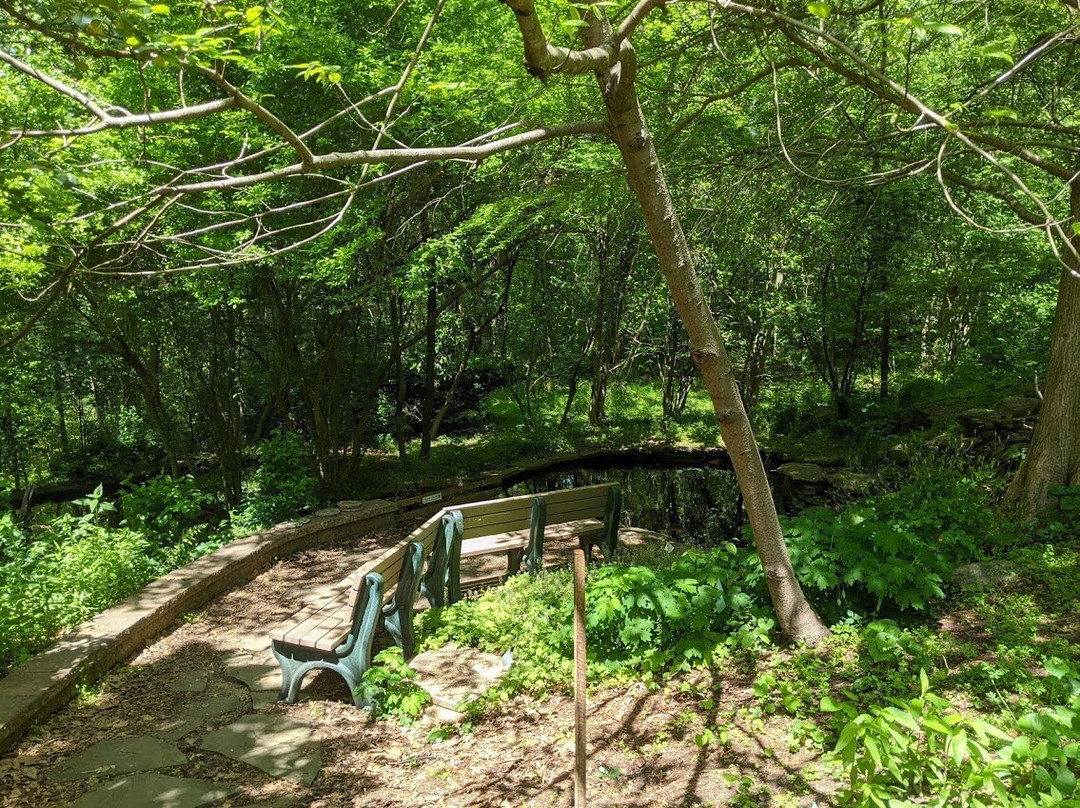 Battle Creek Cypress Swamp Sanctuary景点图片