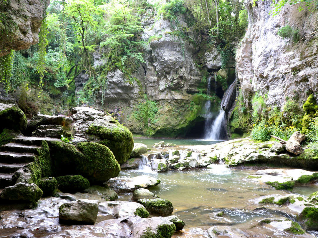 Tine De Conflens