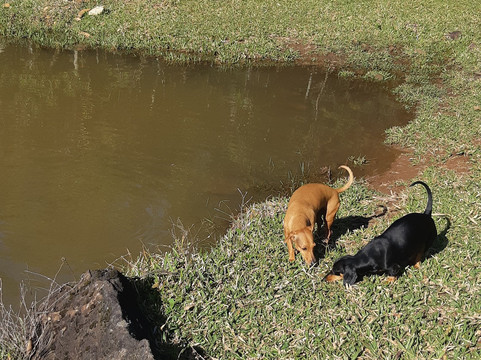 Chapada Do Vagalume-Itati必去景点