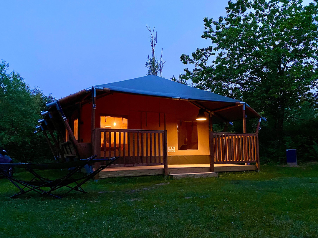 Tolne Camping