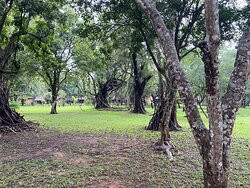 哈波瑞纳查雅乡村酒店主图