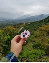 科加劲湖自然保护区-Korgalzhyn必去景点