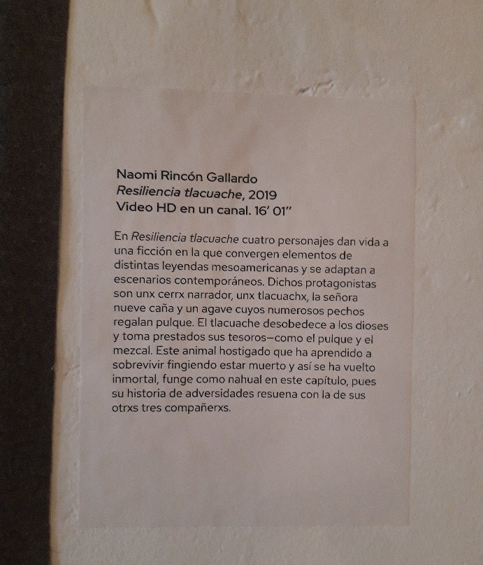 Museo de Arte Contemporaneo de Oaxaca (MACO)-瓦哈卡必去景点