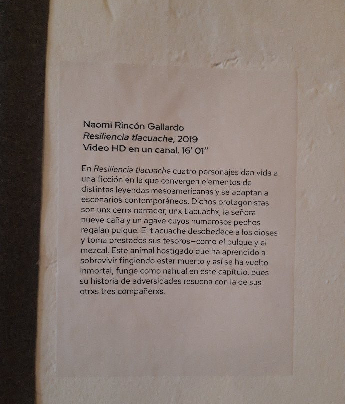 Museo de Arte Contemporaneo de Oaxaca (MACO)景点图片