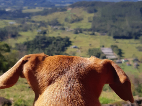 Chapada Do Vagalume-Itati必去景点