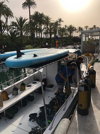 Mardays Dive & Water Experience景点图片