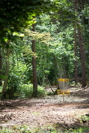 Gilly's Disc Golf景点图片