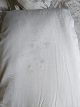 Holiday Inn Express Albuquerque N - Bernalillo by IHG主图