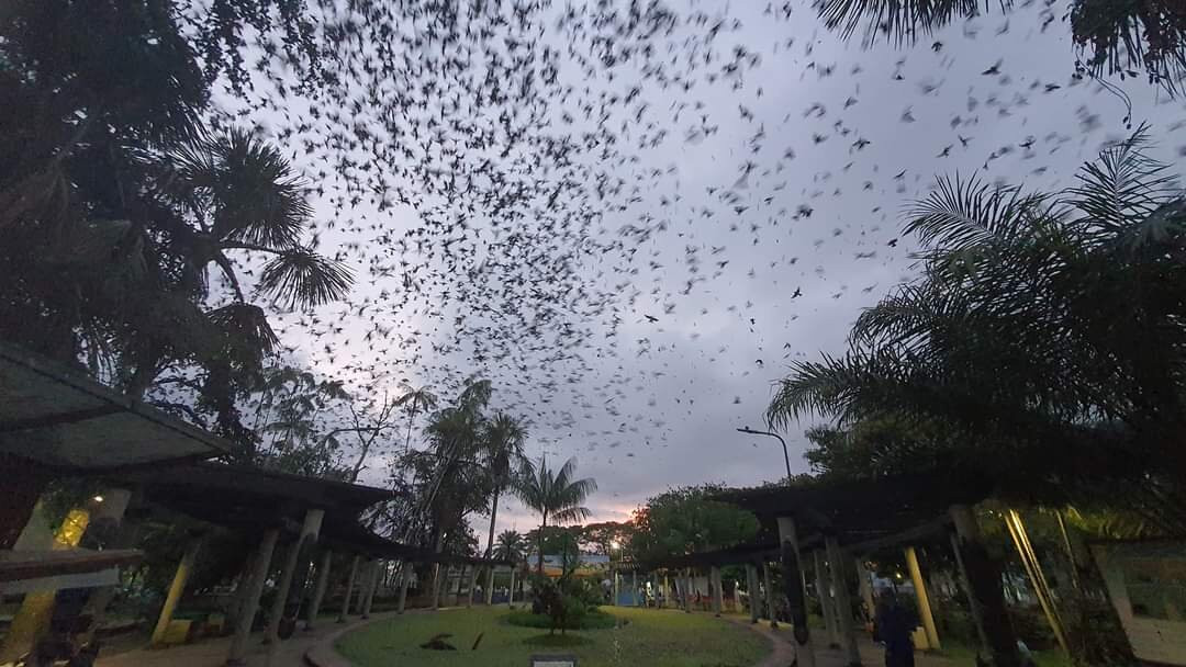 Kurupira Floating Cabin Amazonas主图