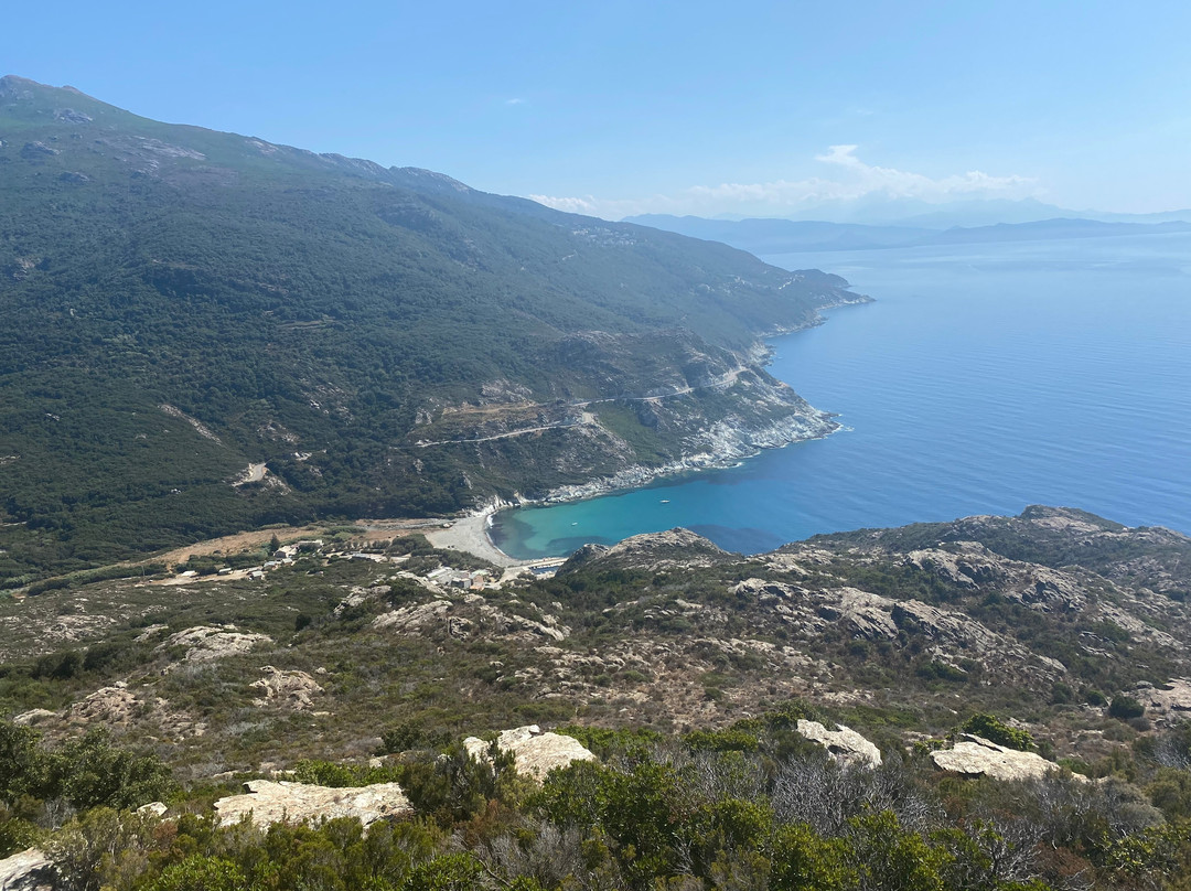 Les Cédrats du Cap Corse景点图片