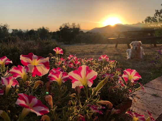 Agriturismo Il Favogoloso主图