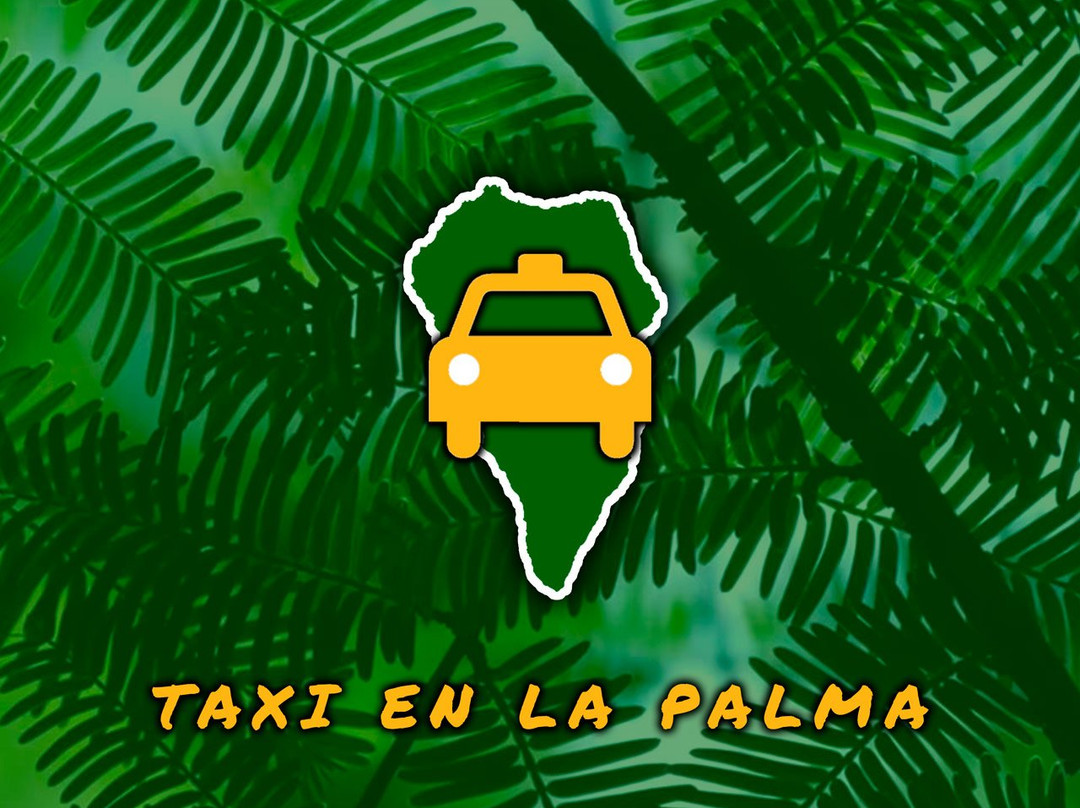 Taxi in La Palma · Transfers to Marcos and Cordero景点图片