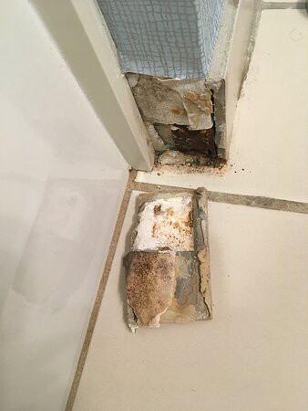 汉普顿贝德福德伯林顿酒店主图