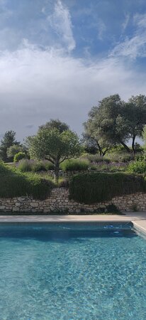 Domaine du Clos d'Hullias-泳池