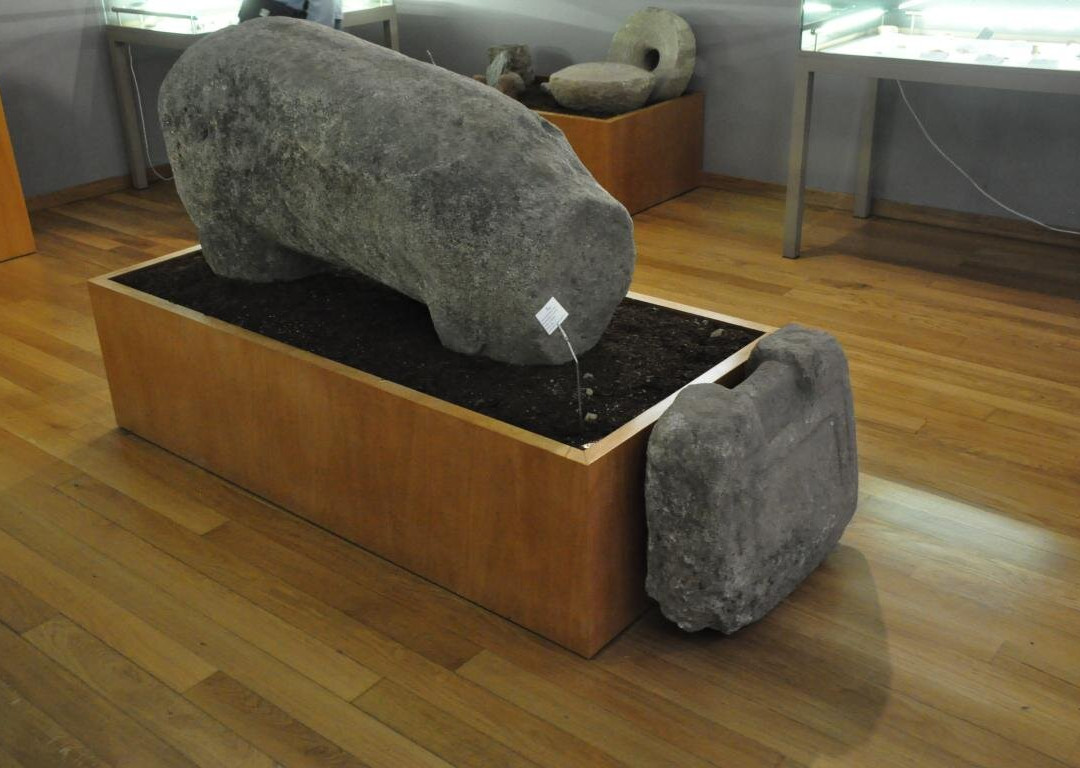 Museu Eduardo Tavares景点图片