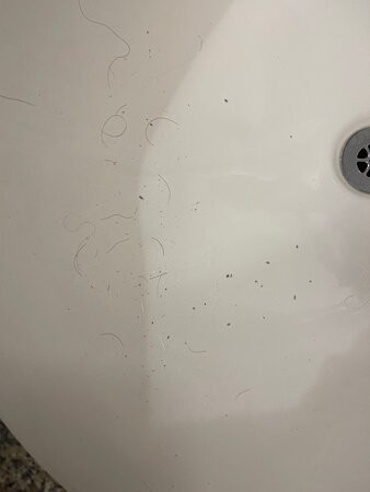 萨拉托加斯普林斯希尔顿尊盛酒店主图