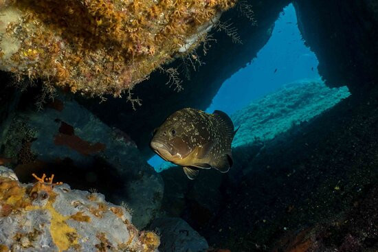 Acquaman Diving Center-维拉西谬斯必去景点