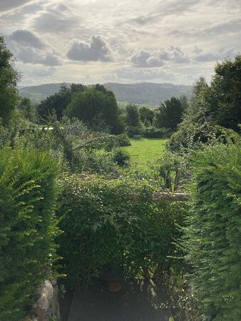 Yewfield Vegetarian Guesthouse主图