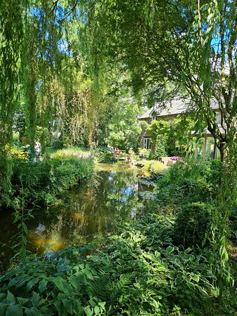 Westonbury Mill Water Gardens景点图片