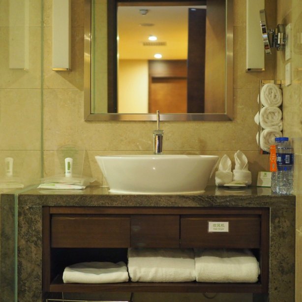 西安大雁塔假日酒店-浴室