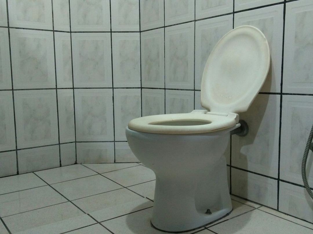 Hotel Araguaia