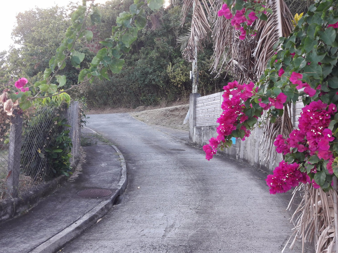 Location Meryem主图