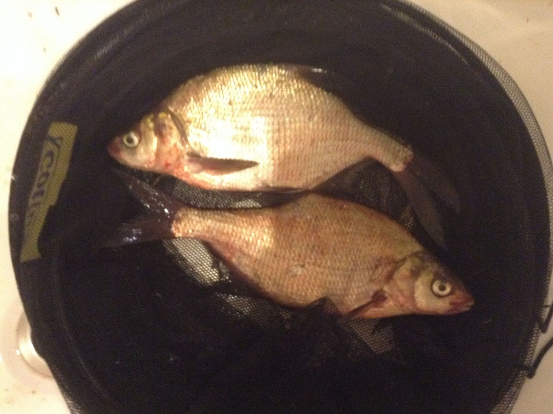 Prislon旅游攻略图片