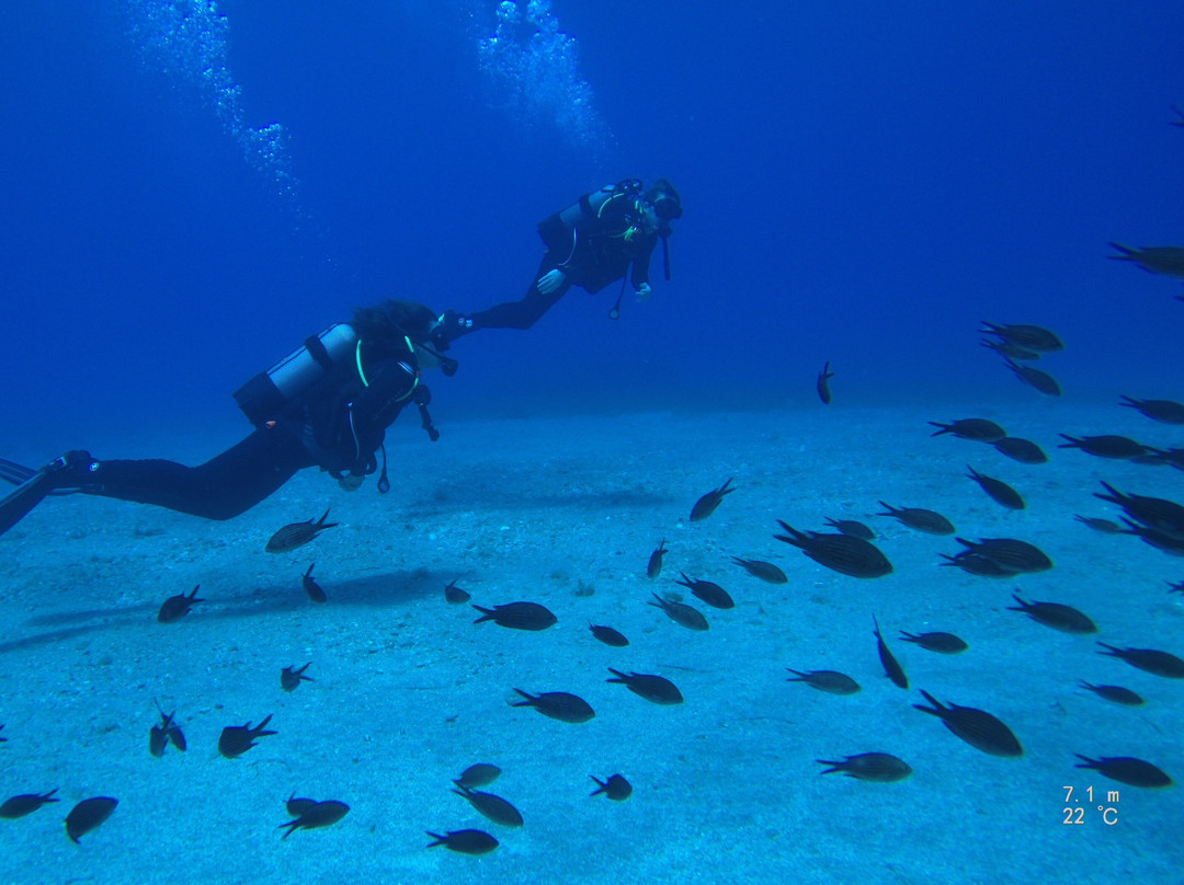 Rhodes Diving Academy景点图片