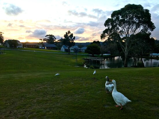 汉道夫度假酒店主图