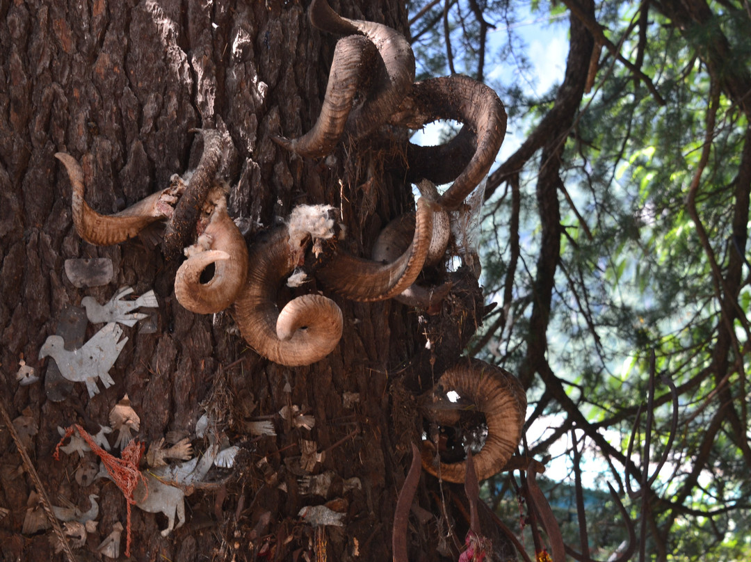 Ghatotkach Tree Templ景点图片